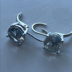 Elegant .925 Silver Drop Earrings